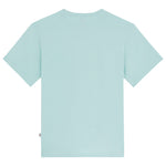 Dickies Mapleton T-Shirt Pastel Turquoise. Foto da parte de trás.